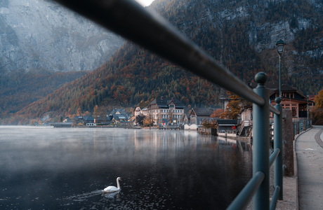 Herfstochtend in Hallstat