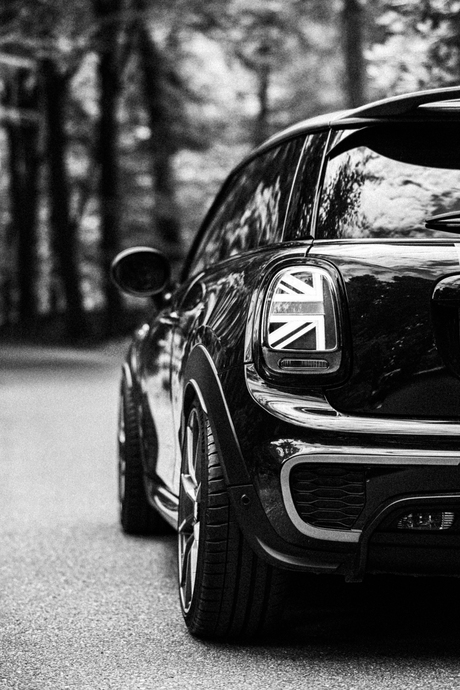 MINI 