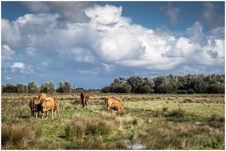 Schouws landschap.