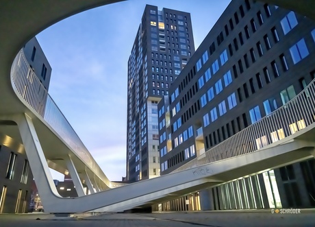 Parkbrug