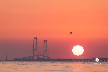 Sunrise store belt brug