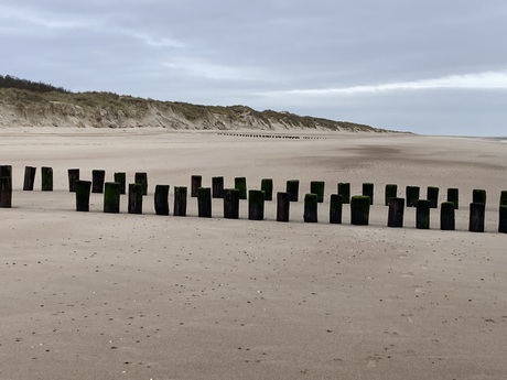 Strand Domburg 