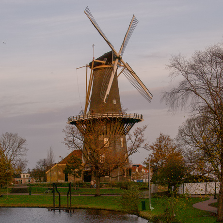 Molen de Valk