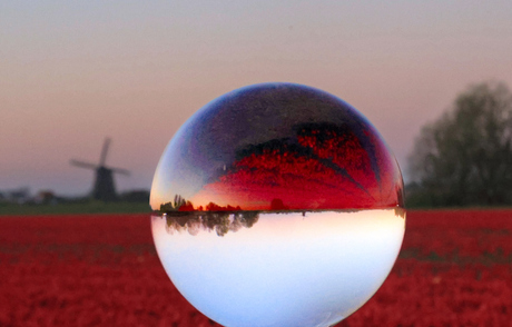 Het landschap van Nederland 