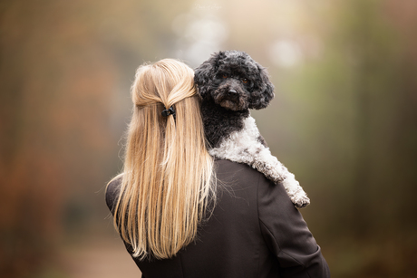 Falling in Love ❤️