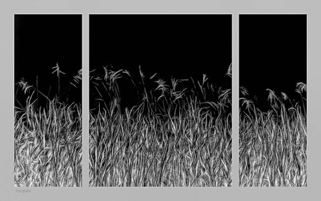 Fluisteren in het donker.