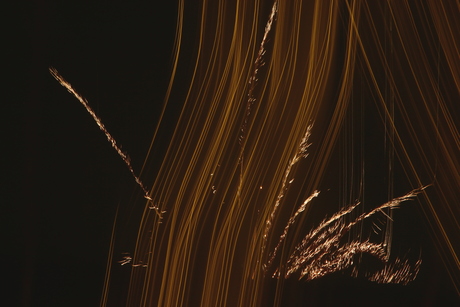 Surrealistisch vuurwerk