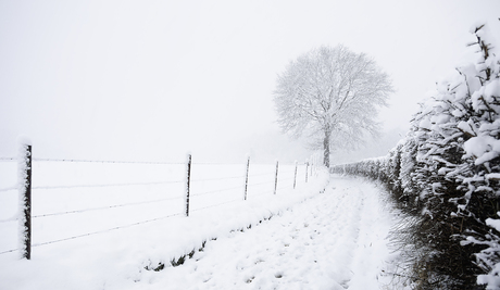 Winterse stilte