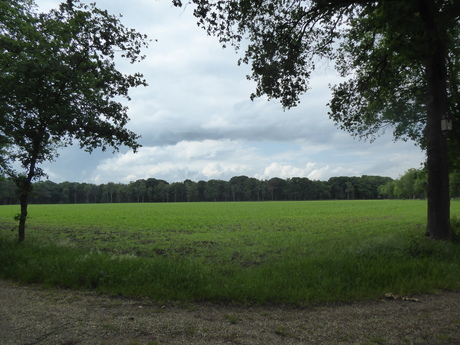 Landschap 2