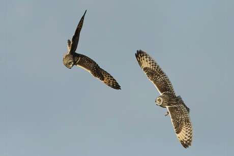 Spirit in the sky ...