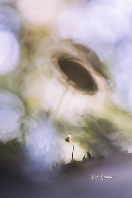 It's not the size that matters