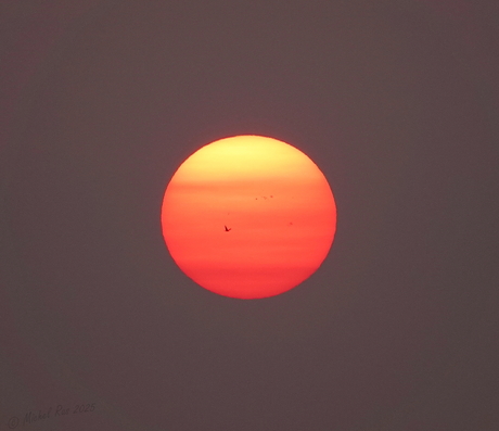 Zonsopkomst