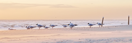 Fort Mahon Plage (Fr)