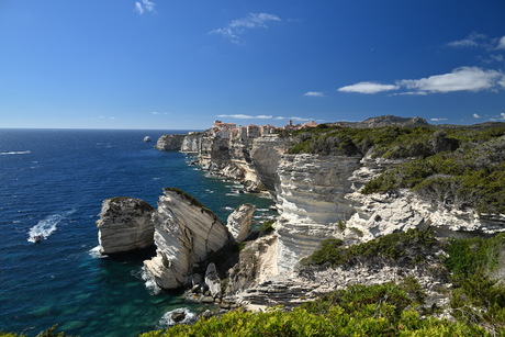 Bonifacio