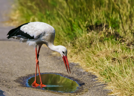 Spiegelbeeld vertel eens even.......