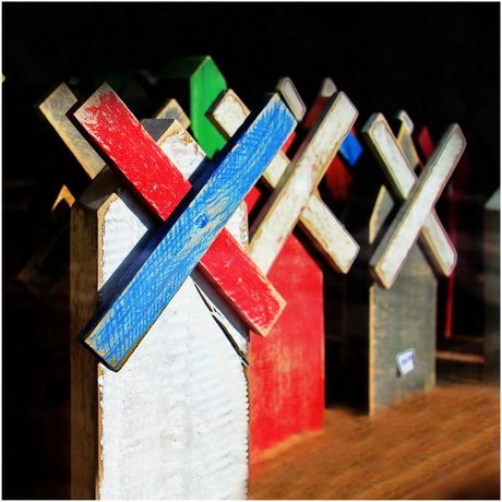 Zaandam 4