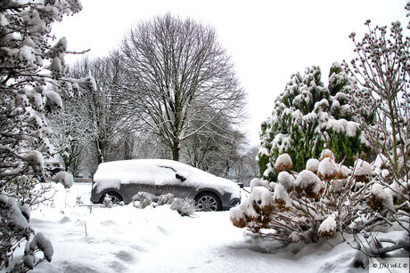 Sfeer plaatje vanuit huis.