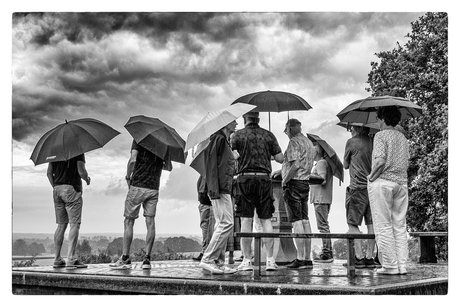 Dutch Summer...