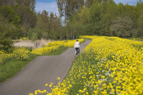 fietser op pad