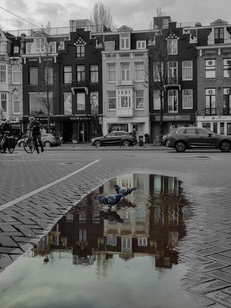 Amsterdam in black and white met een knipoog