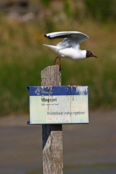 Vertrek of landing?