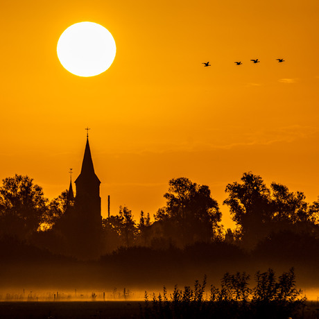 Zonsopkomst Ooij bij Nijmegen