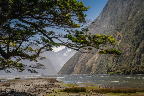 Milford Sound