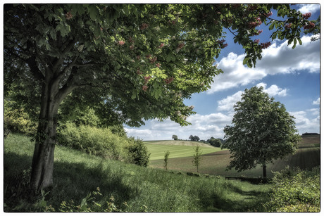 Heuvelland.....