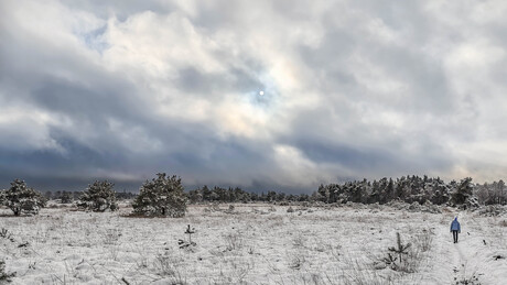 Overheersende luchten