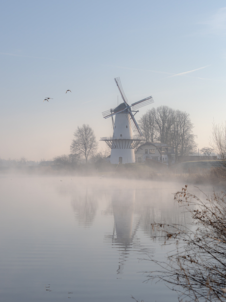 Puur Hollands