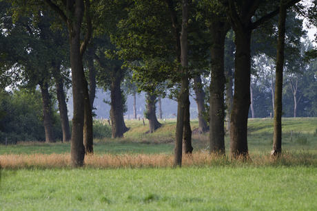 Natuur rondom Hardenberg