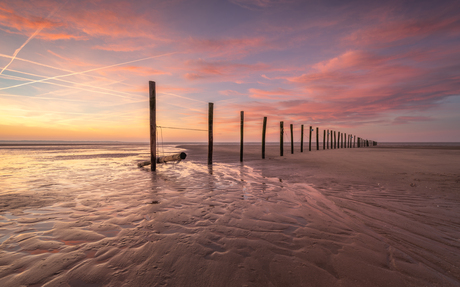 Maasvlaktestrand 