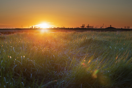 Zonsopkomst