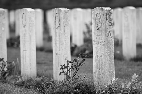 Canadese oorlogsbegraafplaats te Groesbeek