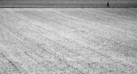 Alleen..................