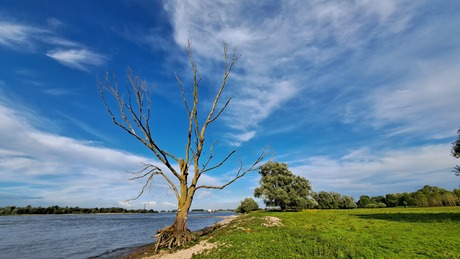 Rivier de Waal stromend langs het Munnikenland