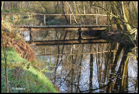 2411300836 brugje