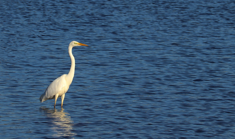 Les pieds dans l'eau.