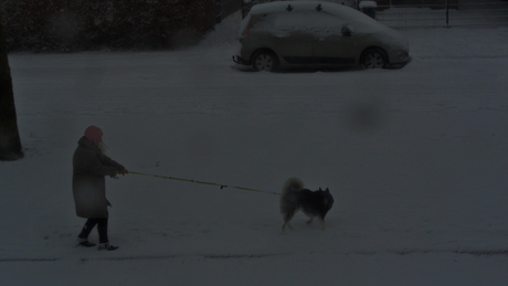 visually a bit monotonous