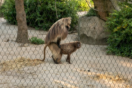 Tja, moet ook gebeuren