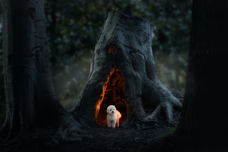 My light in the dark 👻