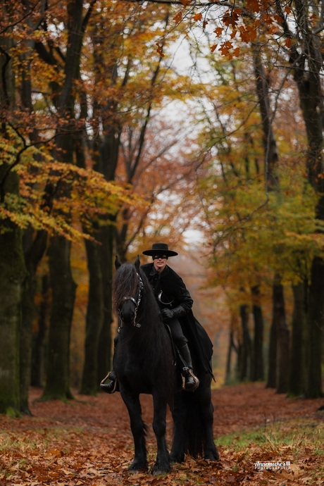 Fries paard in de herfst