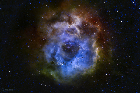 Rosette Nebula