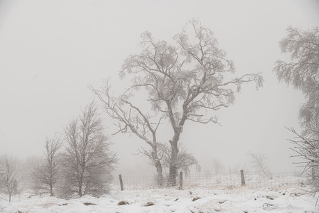 Winterslandschap