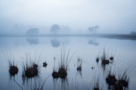 A mystical morning