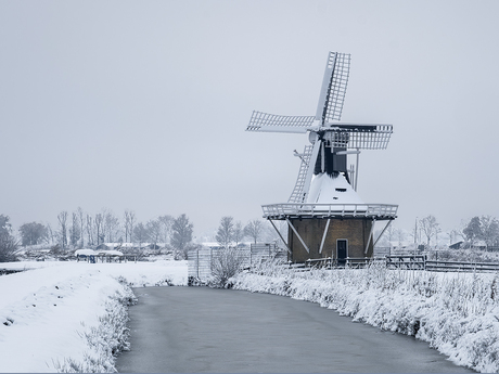 Groene molen van Joure