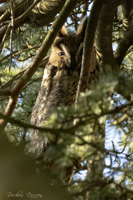 Meester in verstoppertje