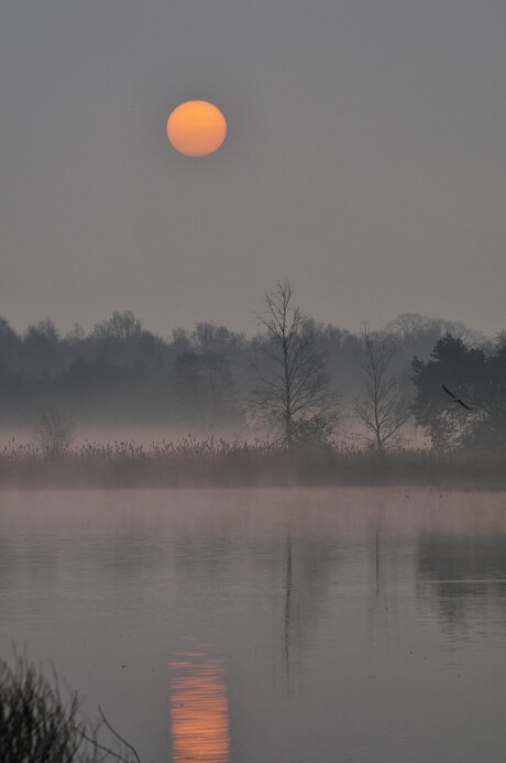 Opkomenede zon over het ven