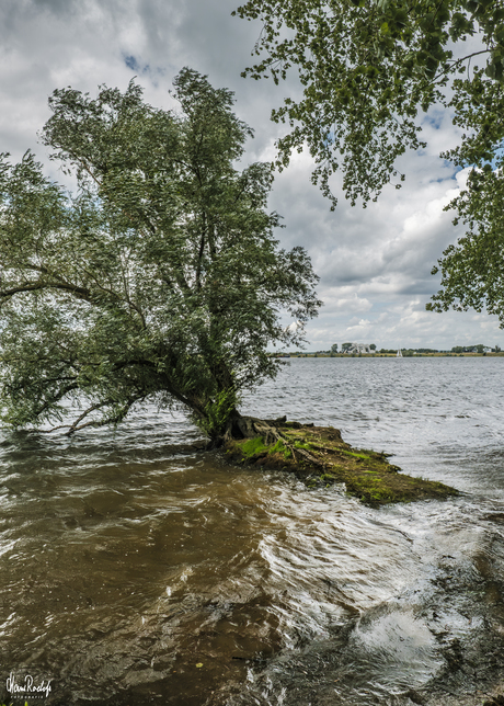 Nederrijn