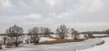 De uiterwaard op 8-01-2026
